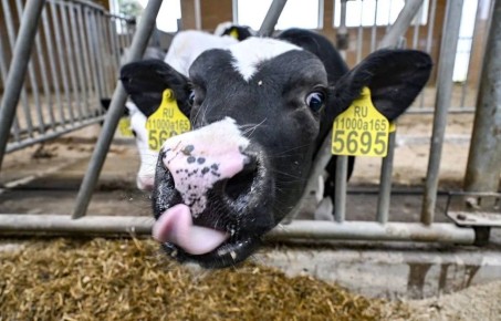 Около 3,3 млрд рублей направлено на поддержку агропромышленного комплекса Тверской области в 2025 году