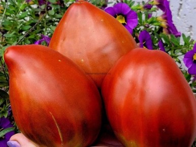 �������� �������: ������� ������ � ���������� �������� � ����� ������