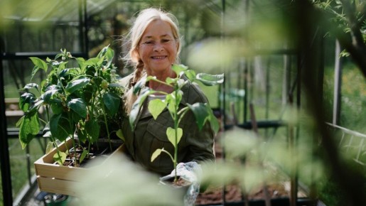 Эти растения можно сажать в качестве мульчи: почва скажет вам спасибо