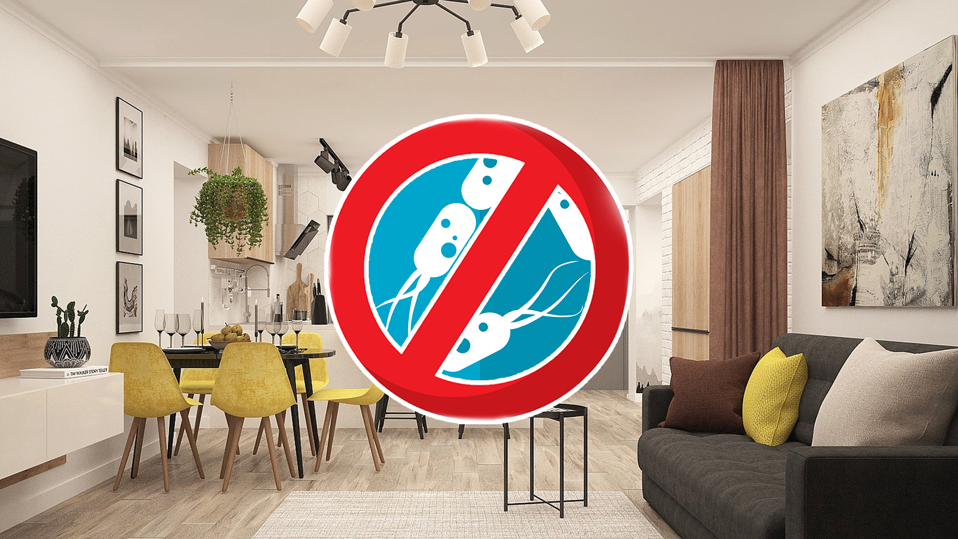 Никогда не забывайте чистить эту вещь: найден рассадник бактерий в доме