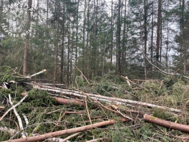 � �������� ������� ����������� ��������� ������������� ���������� �� ���������� ���� � ���������� ����� ������ ����������