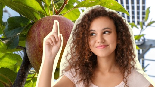 ���� �� ���� �� ��������: ��� ��� ������� ������ ����� �� ��������