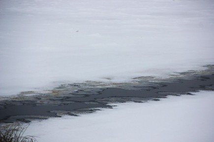 ������� ������������ ������ ������������� � ������ �� ����