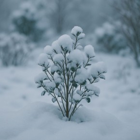 ������� �������, ������� �������� ��� �� ����������