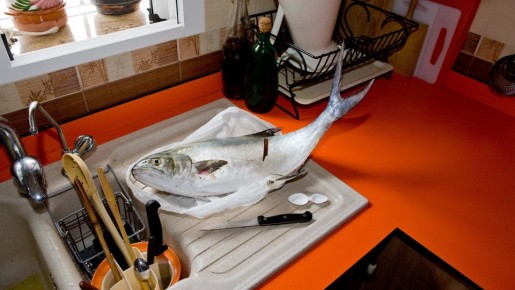 Очистите любую рыбу от чешуи за несколько секунд: даже кухня не пострадает