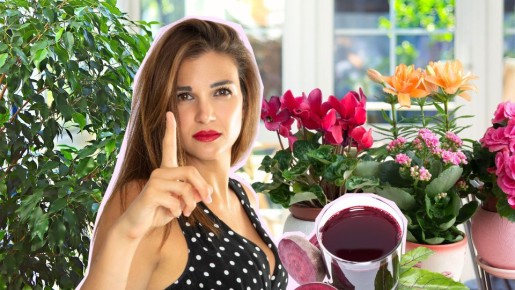 Не выливайте отвар от свеклы в раковину: лучше полейте им цветы