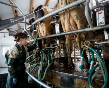 ������������ �������� �������: �������������� ������������� �������