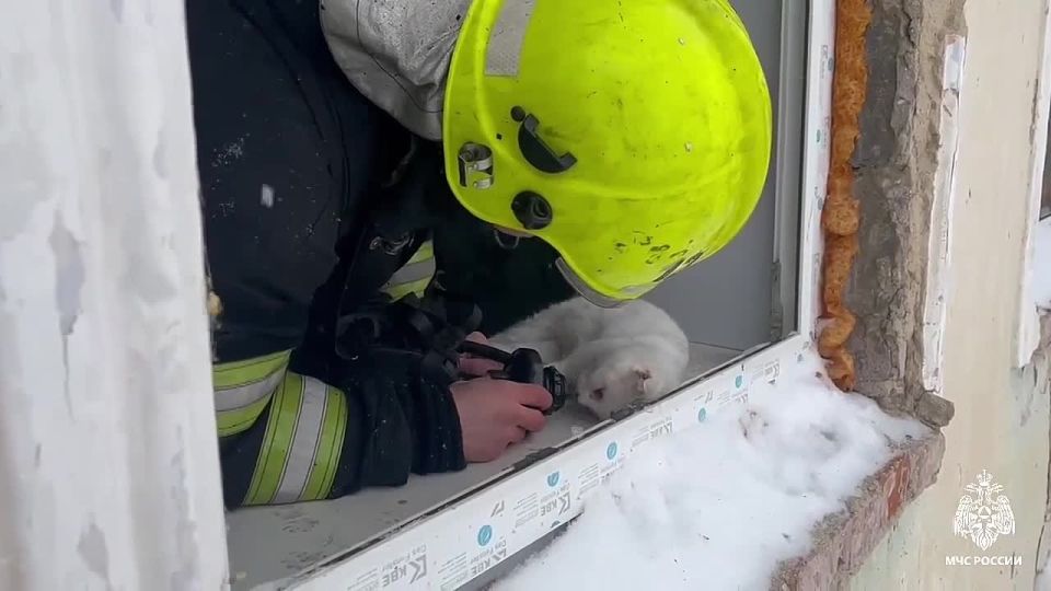 ������������� ��������, �����: �������� ������ ���� � ������ � �������� �������