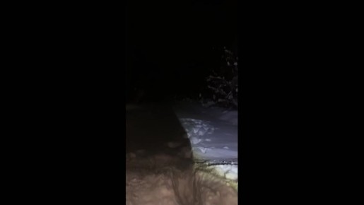 Жители двух деревень Тверской области пожаловались на заваленную снегом дорогу