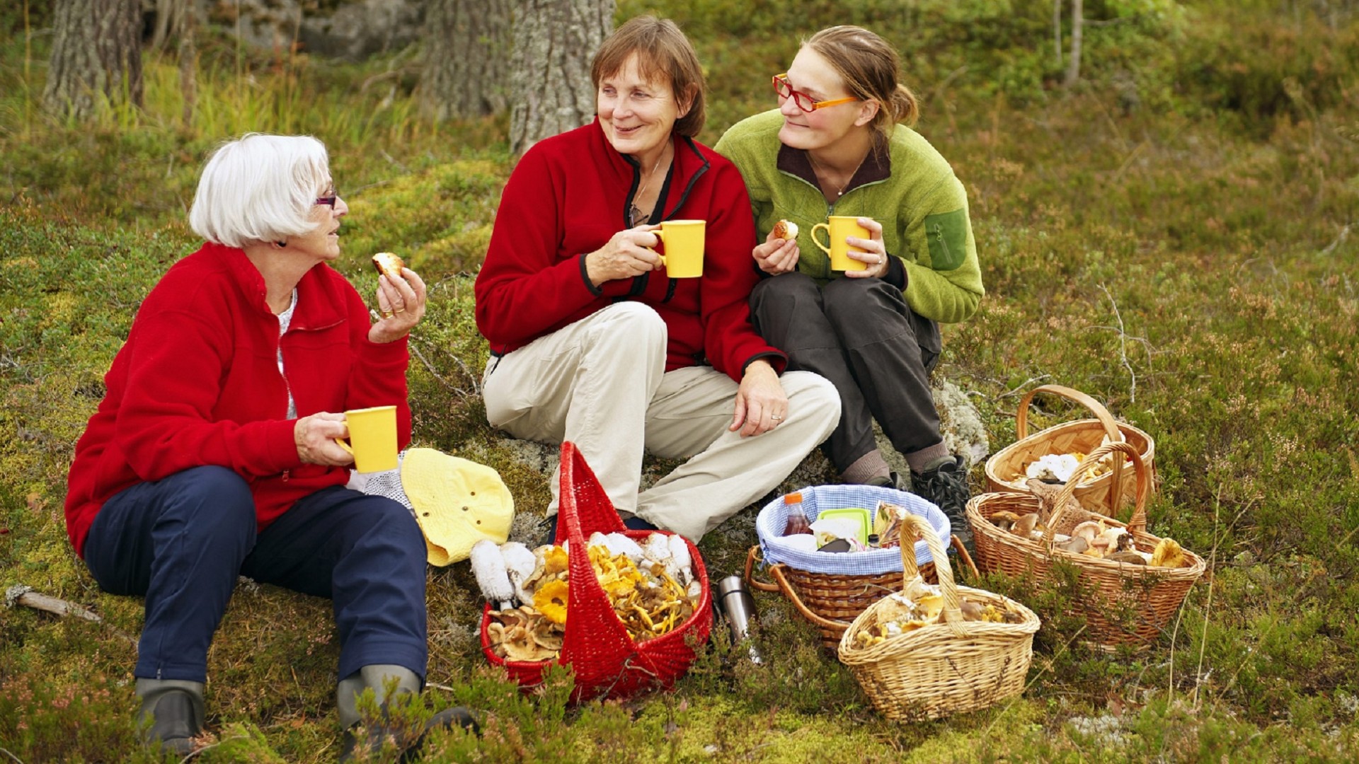 Пятна на руках после чистки грибов исчезнут бесследно: добавьте в воду этот продукт