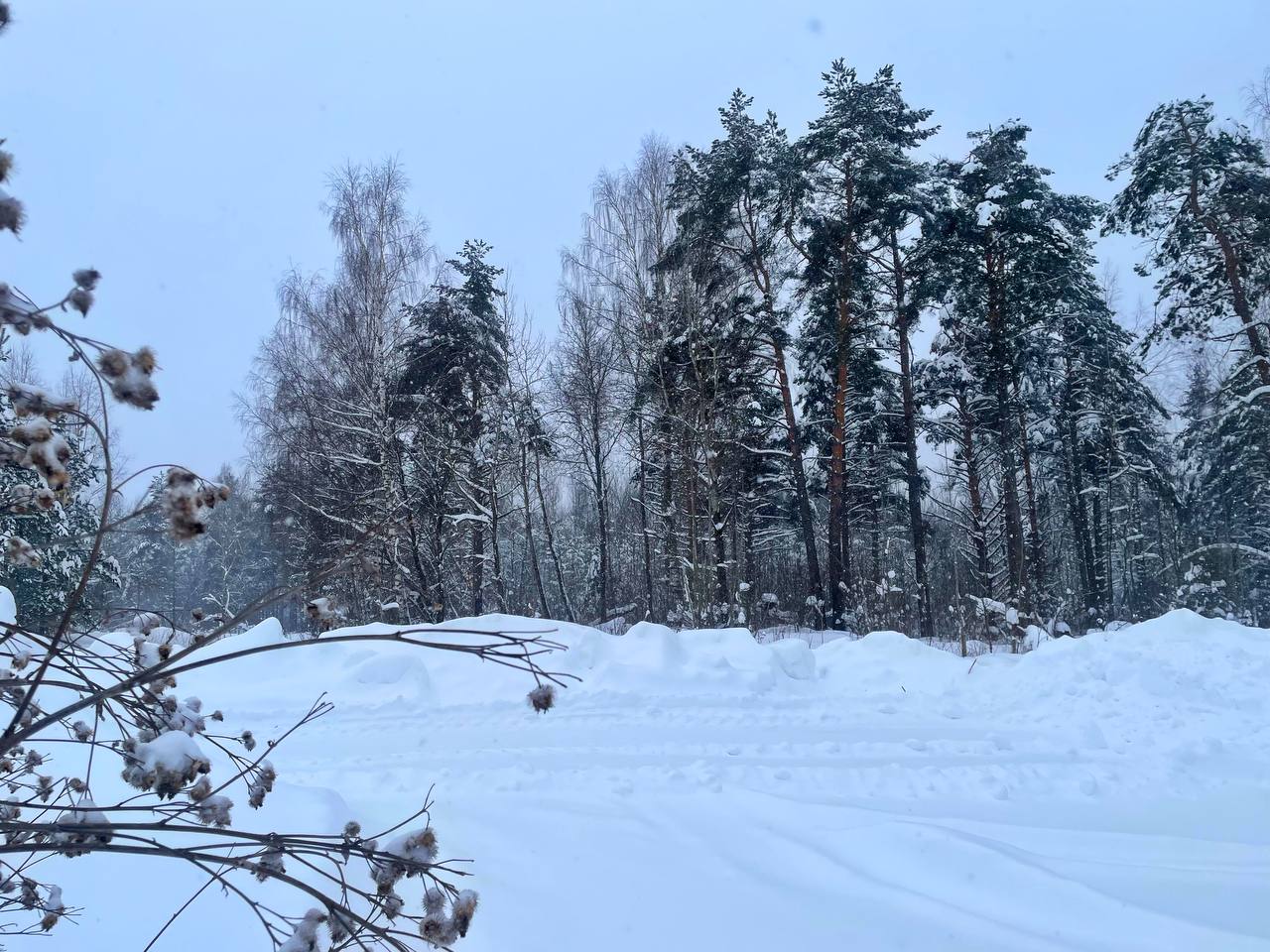 В Тверскую область идут новые продолжительные снегопады