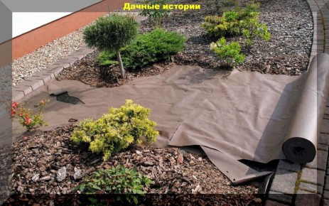 ��� �������� �� ���������� ��������: ������������ ������� ��� ���� �� ����