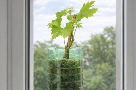 �������� �� �������: ��� ��������� ��������� ������� ��� ������ ������������