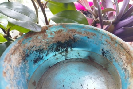 ��� ���������� �� ������ ������ � ��������� ������� � ��� �������