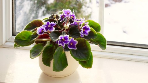 ������ ���������� ������ ��������� ����� ������: � ����� ����� ��������� ��� ��������