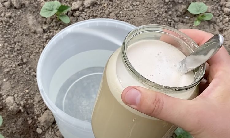 ��������� ���������: ��� ��������� ������������ ��� ���������� ������ � ����