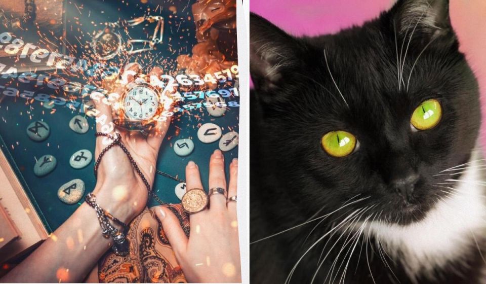 ��� ������� ��������� ����� �� ���� ��������: �������� ����������