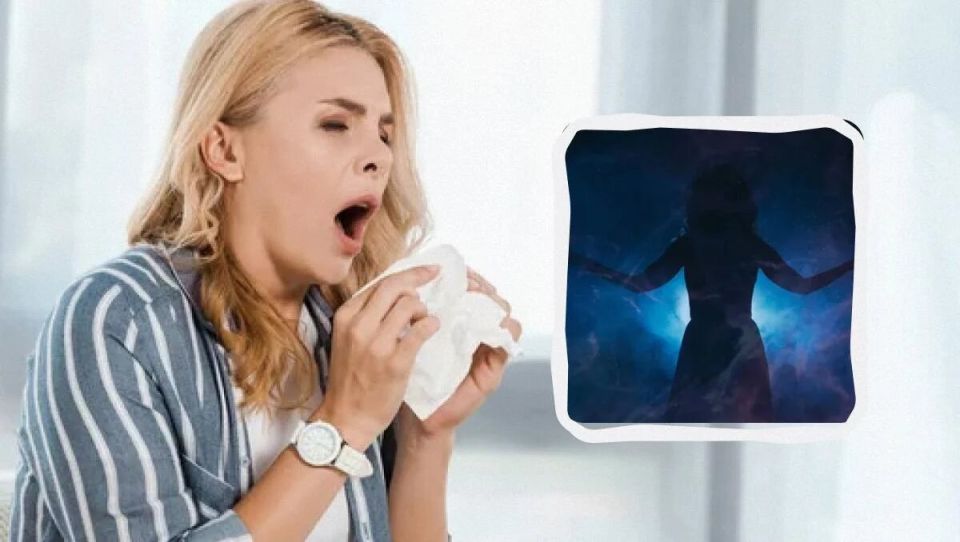 ������ ����� "���� ������" �� ������ �������: ������ ��������