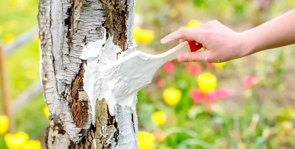 ��� ������, ���� ������� �������� �� ��������� ����� ��������?