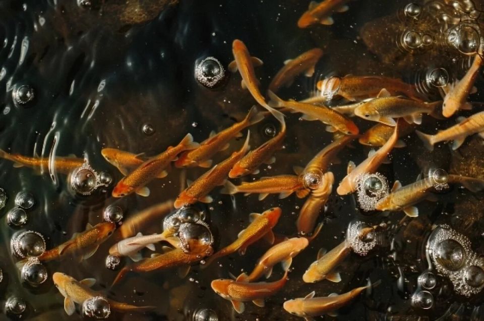 � ���� ��� ��������� 150 ����� ������� ������� ��� �������������� ����������