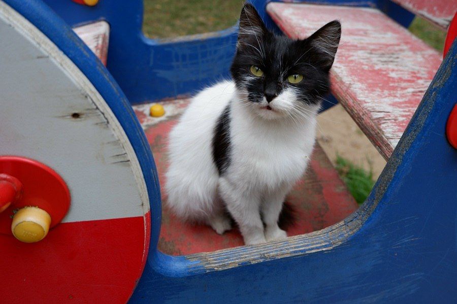 � ������������� �� ���������� ���� ������� �������� � �������� ������