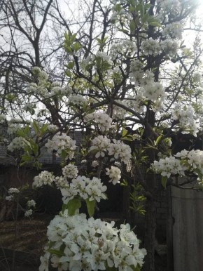 ��� ��������� ������������ ������� ����� �� ������� ���������� ��� ������ ����