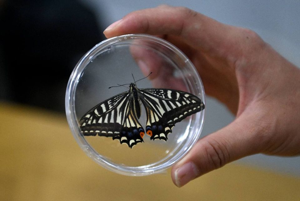 ��� ������� ��������� ������ ������ � ������� � ��� ���������� �� ������ �� ����� ������ �� ������