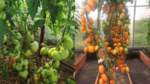 ����������� �������������� �������: �� ����� �� ������ �� 100 ����