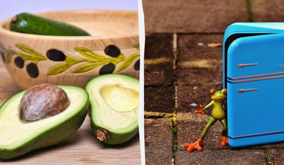 ��� ��������� �������� �������: ������� ������ �� ��������