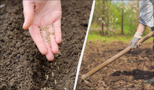 ��� ������� ������� ������: ���������� ����� ��� ������ �������