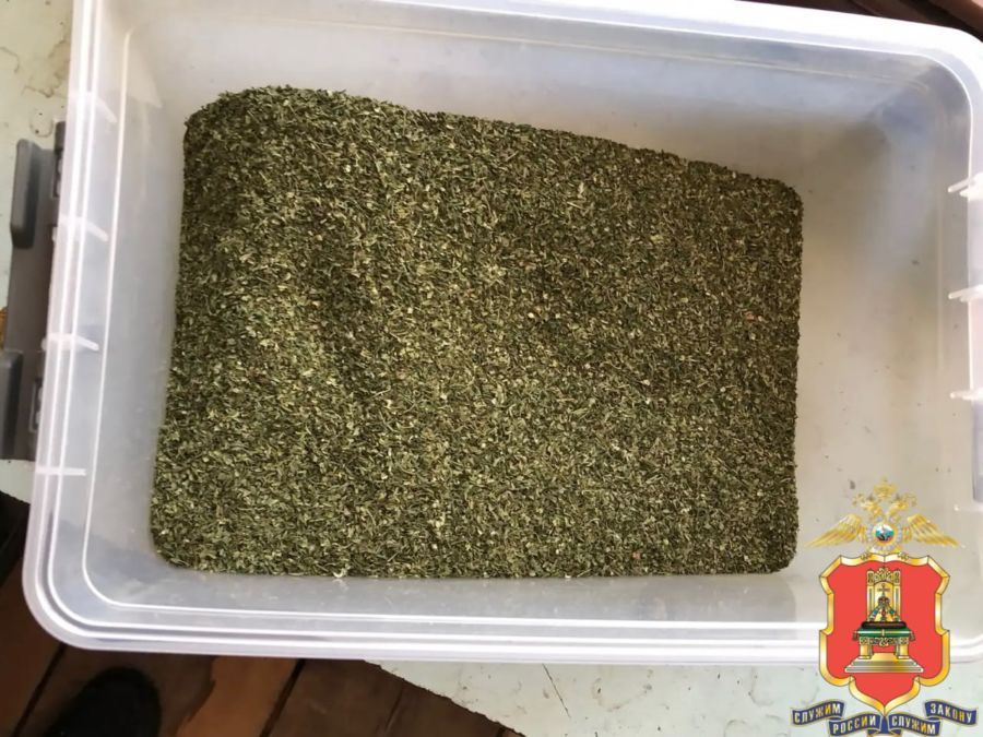 ������ �������� ������� ������ ���� ������� ������ ������-�����