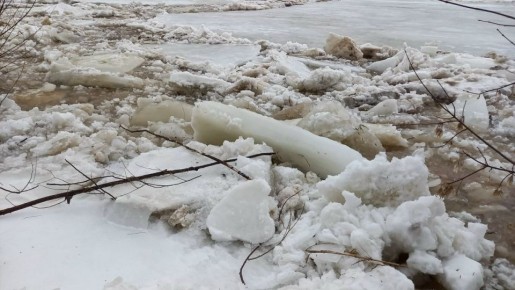 ���� �������� ������: � �������� ������� ������������ ������� ���������