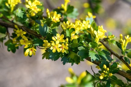 ��������� ����������: �������� ������ ��� ������ ����