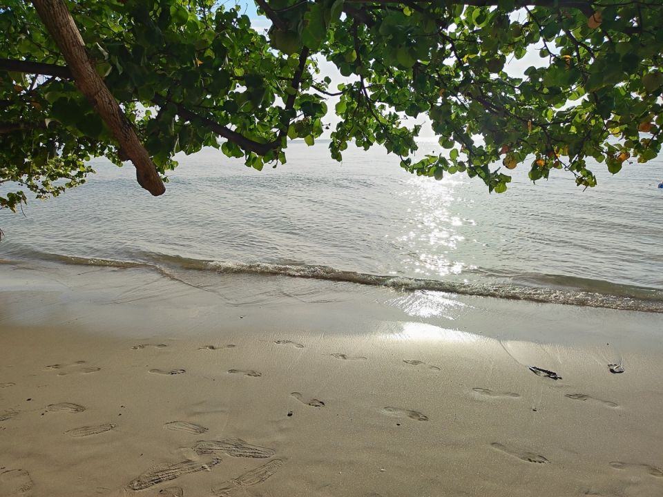 Зимовка на острове Чанг: Вкусный вечер в тайском буфете морепродуктов