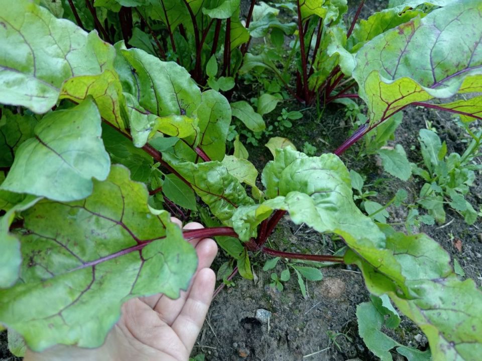 ���� �� ������� � ����: ������� �������� ���������