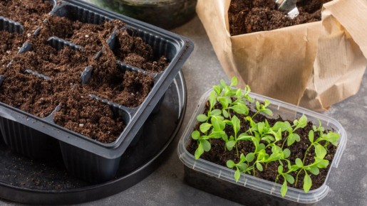 ��������� ������� ��� �������� �������, � ������� �� �� �����