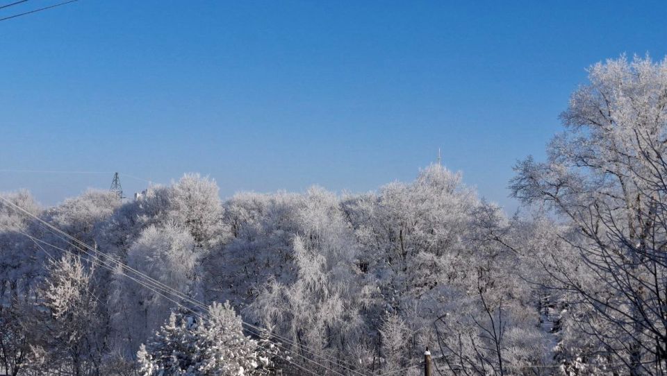 ������ ��������: � �������� ������� ������� �� ���� ������� ���� -29