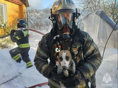 �� ������ � ����������� ������ ��������� ������ ������