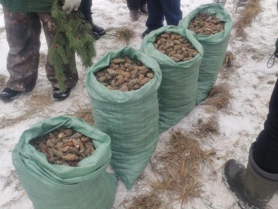 ����� 35 ���� ����� ������� � �������� ������� ��� �������������� �����