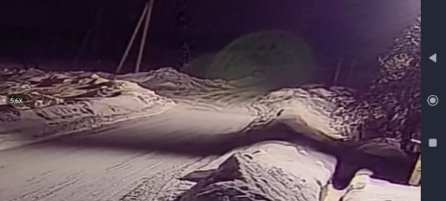 ������ ��� ����������: �� ������ ��� ������ ������� ������� �������� �����