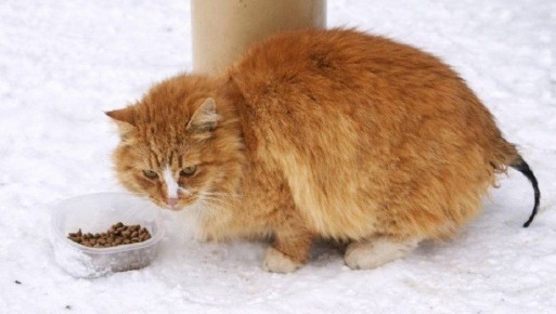 � ����� ��� � ����� ��������� ������� ������ � ����� �� �����