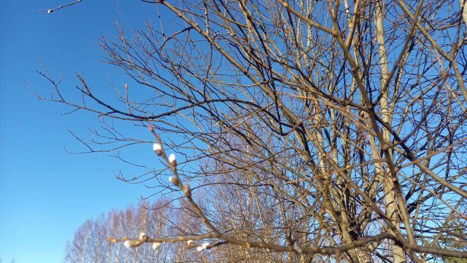 � �������� ������� ��������� �� +1, ������� �����