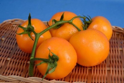 ����� �������: ��������� ��������� ��������� ��� ����� ����