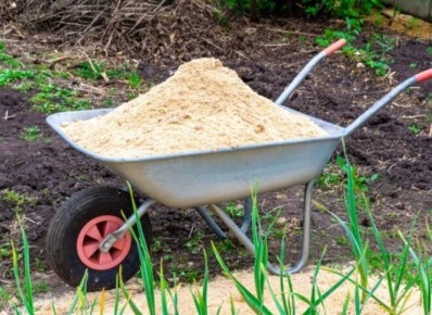 ������ ������ ����� ��������� ������ ������: ��� ������� ����������