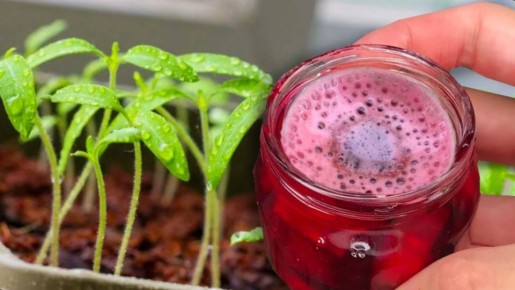 ��� ������ ���������� ������� � �������� ��������