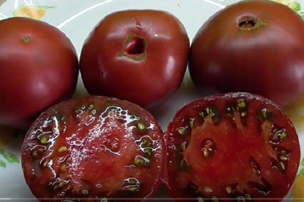 Чёрный томат Бизон: уникальная диковинка для вашего огорода