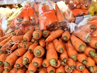 Цены на морковь и другие овощи в России стремительно падают