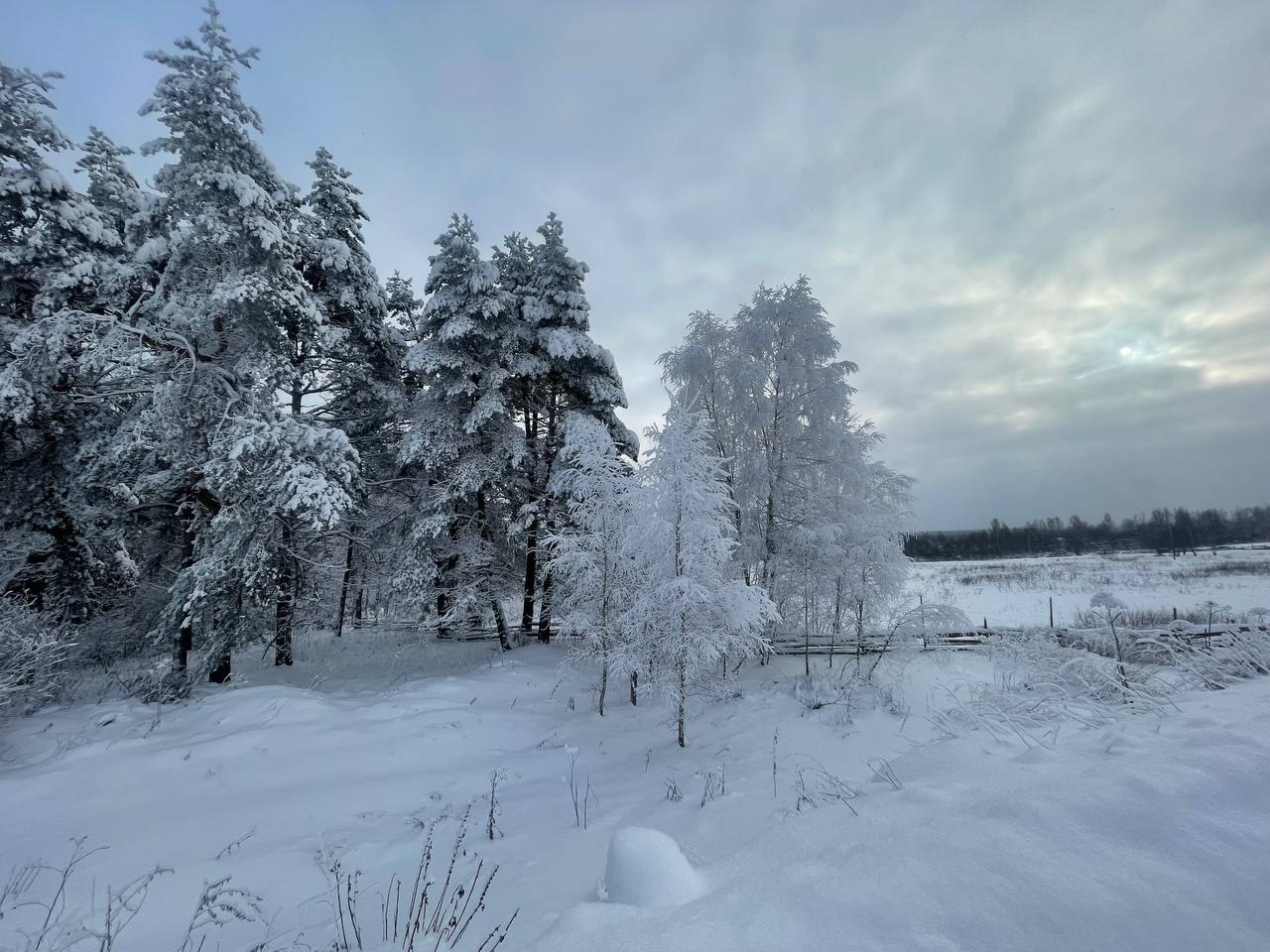 В Тверской области сильные морозы после оттепели приведут к образованию ледяного панциря