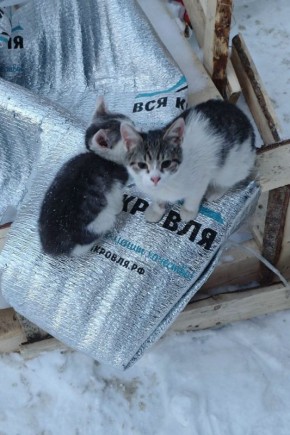 � ����� ��� ���� �� ������ � ����������� � ����� �������