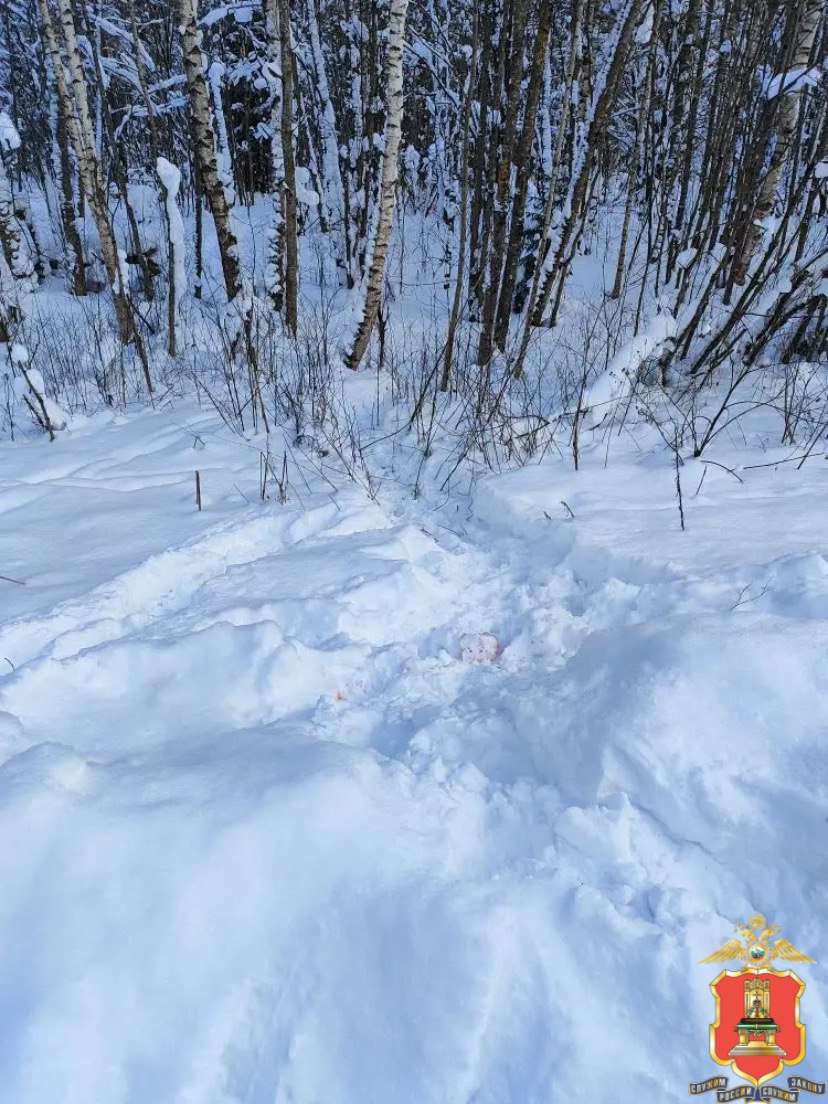 В Молоковском районе полицейские задержали браконьера